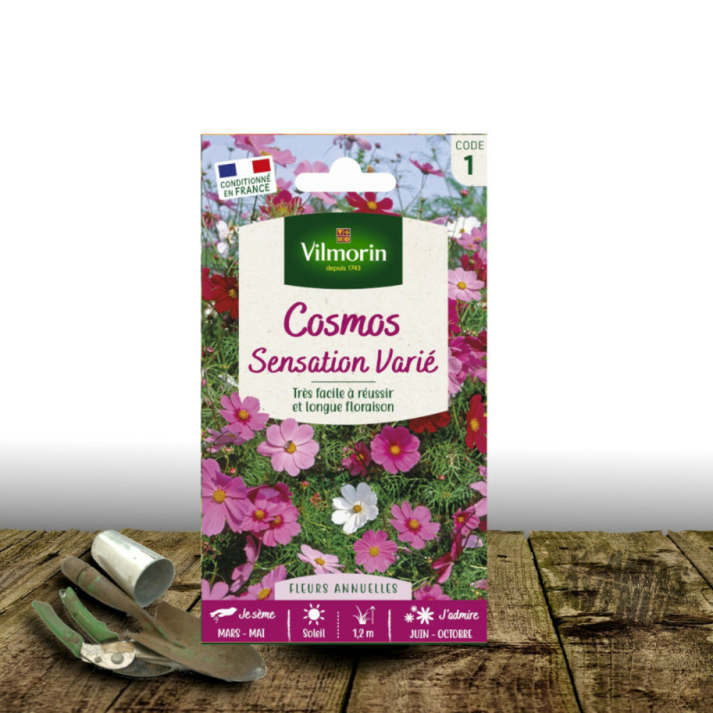 Impatiens Hybride Variée Vilmorin - Bricomarché