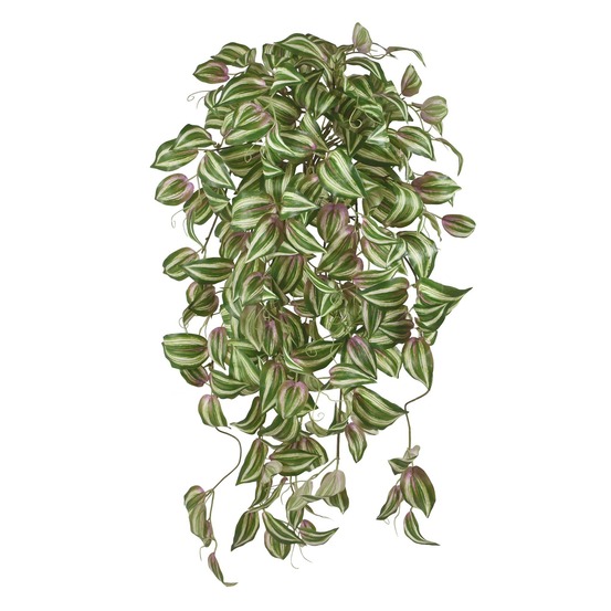 Tradescantia tricolor en chute artificielle de 70cm