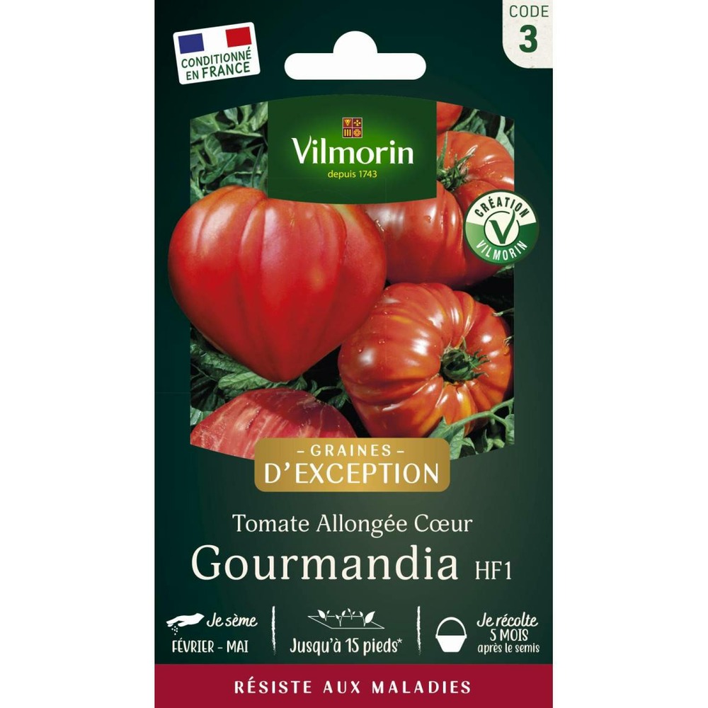 Sachet de graines tomate gourmandia hf1- saveur et résistance au jardin