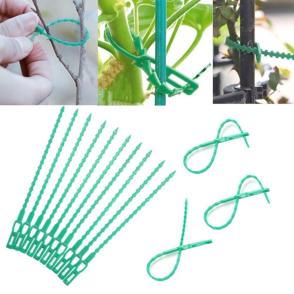 Lot de 50 attaches réglables pour plantes 17cm*50 dtopbuyage