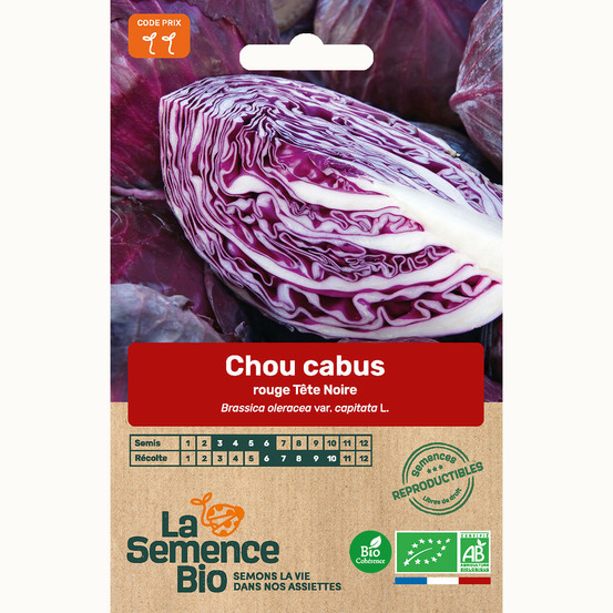 Chou cabus rouge tête noire 3 - graines bio