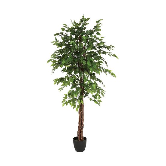 Plante artificielle ficus en pot h 180 cm