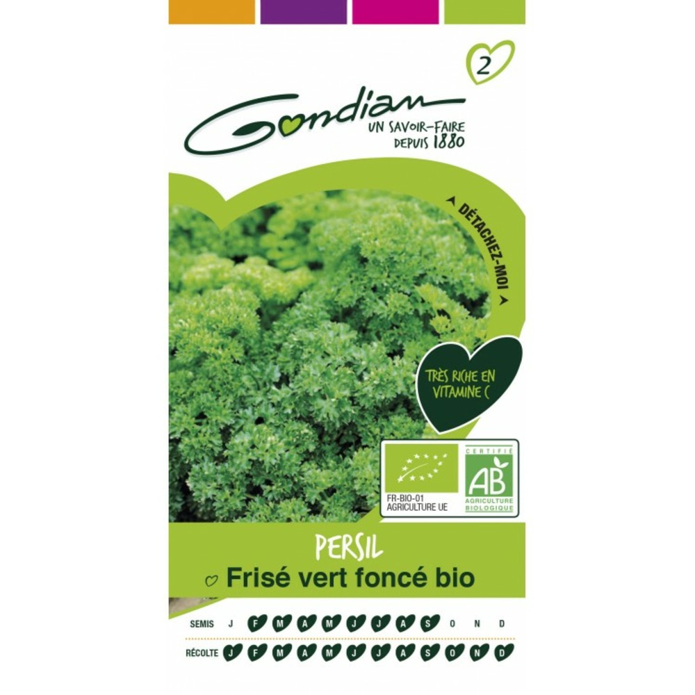 Persil frisé vert foncé bio