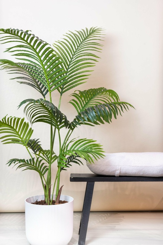 Howea forsteriana plante artificielle - h140cm, ø14cm