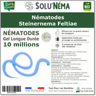 Solunema - nématodes steinernema feltiae - 10 millions