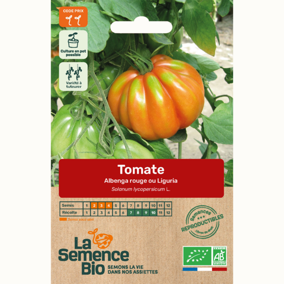 Tomate albenga rouge ou liguria - graines bio