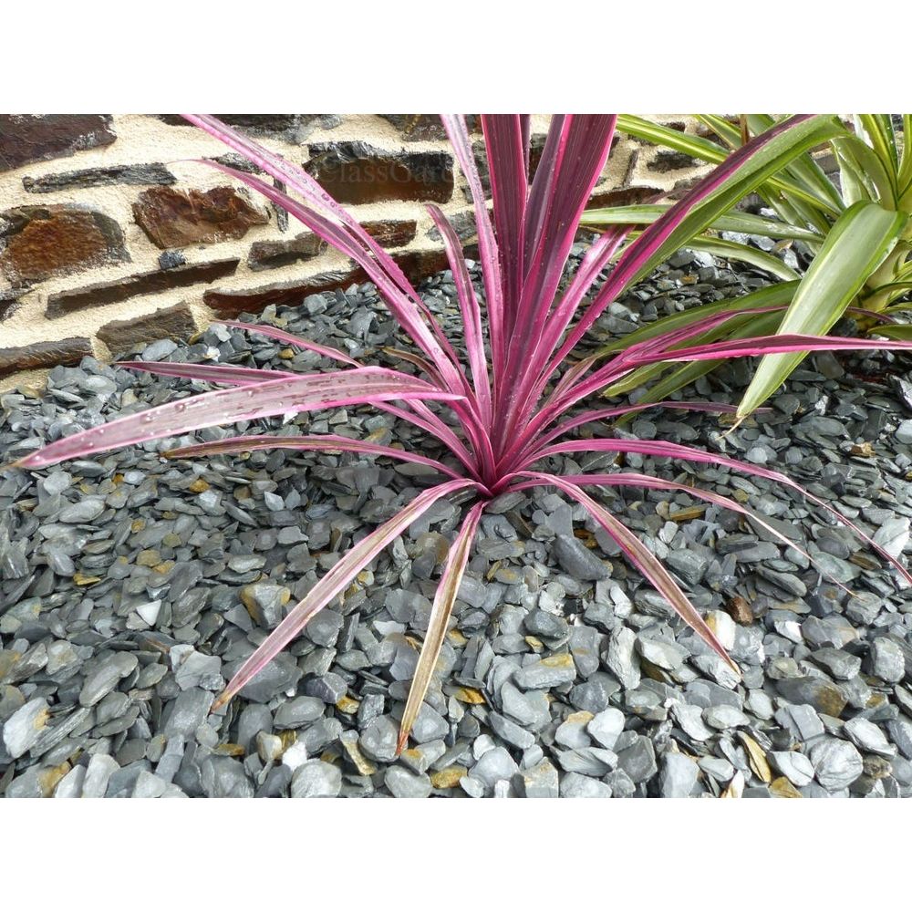 Paillage ardoise gris 10-30 pack 5 m² - 12 sacs - 300 kg