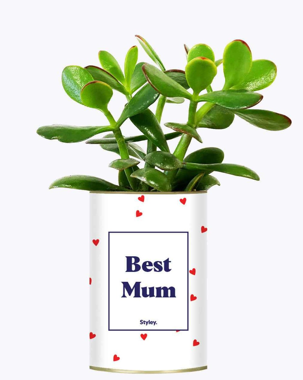 Idée cadeau - best mum - cactus