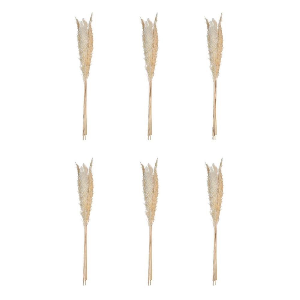 Lot de 6 fleurs séchées 