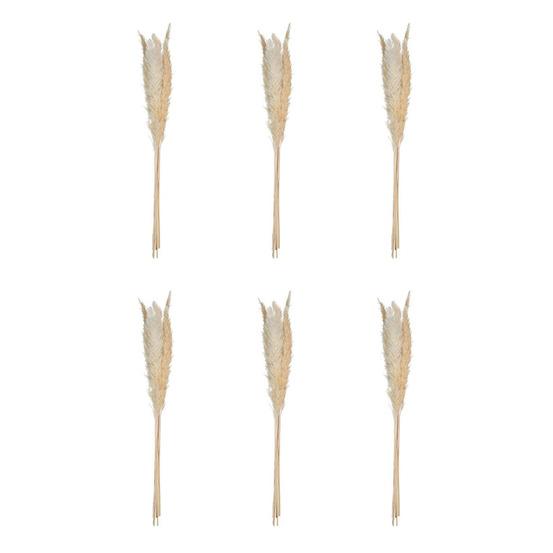 Lot de 6 fleurs séchées