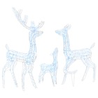 Famille de rennes de décoration acrylique 300 led blanc froid