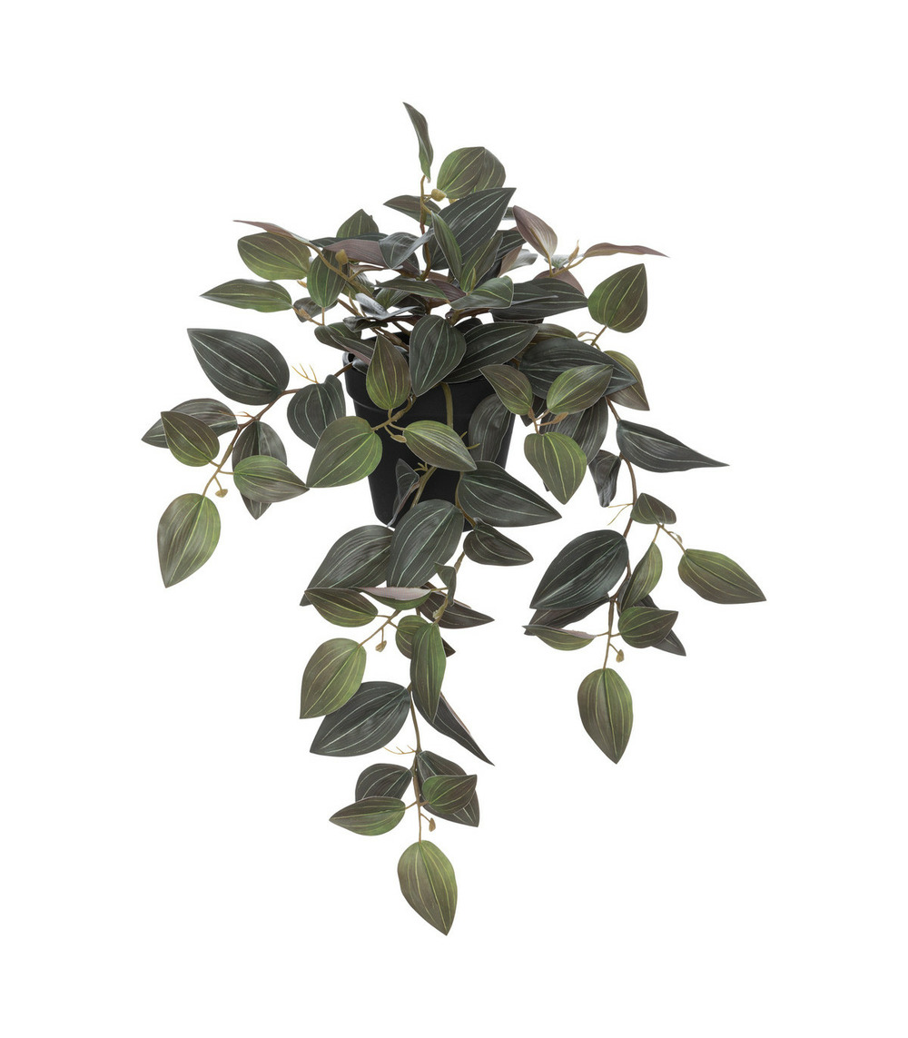 Plante artificielle tradescantia bicolore h 45 cm