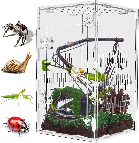 Enclos en acrylique pour araignées sauteuses et terrarium ventilé adapté à tous les reptiles