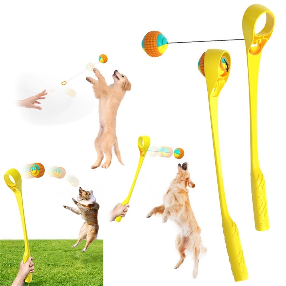 Dtopbuyage jouet interactif pour chien