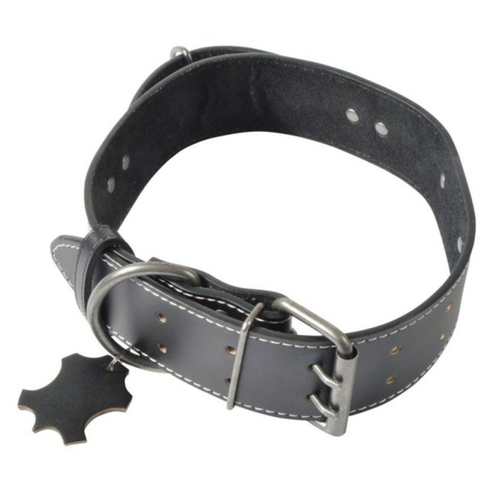 Collier pour chien 2xl 