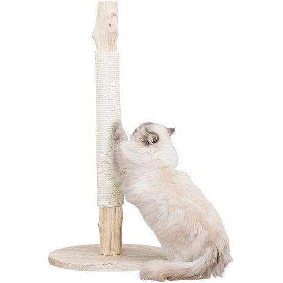 Griffoir, bois naturel hauteur 93 cm pour chat