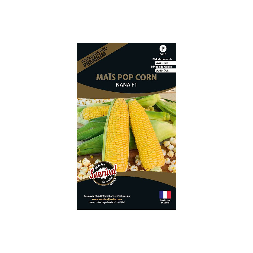 Graines potagères premium maïs pop corn