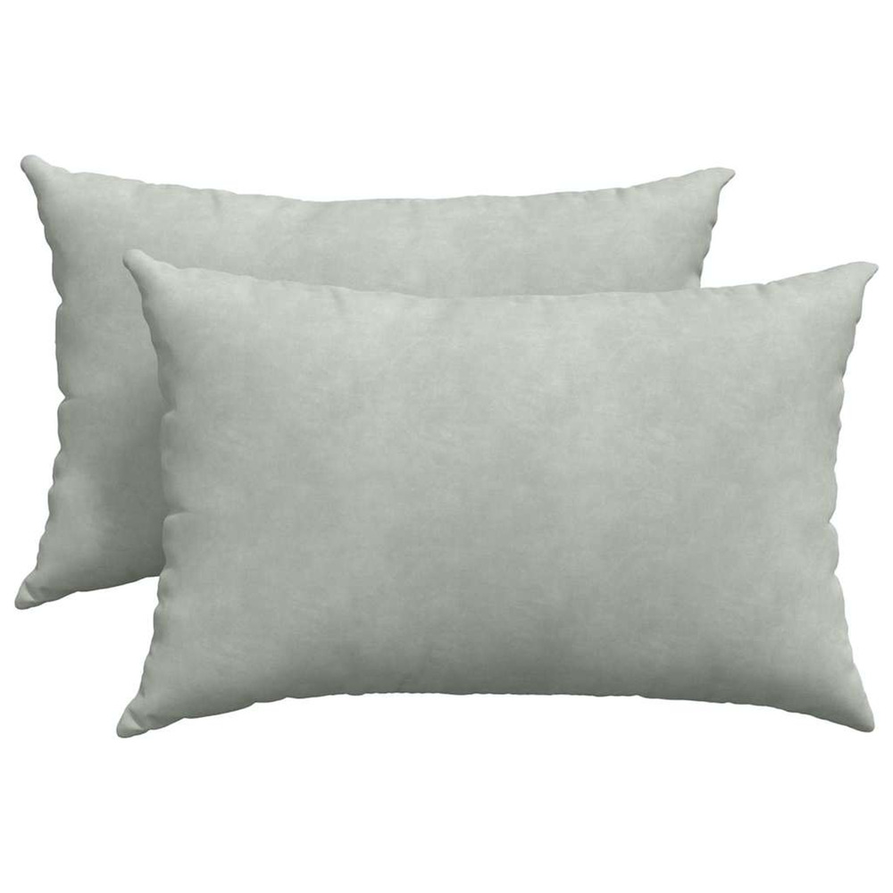 Coussins de canapé 2 pcs gris clair 60 x 40 cm