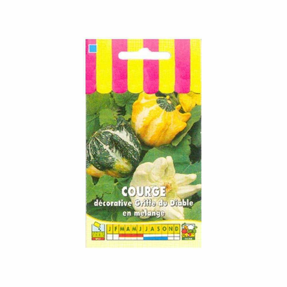 Courge dÃ©corative Griffe du diable en mÃ©lange