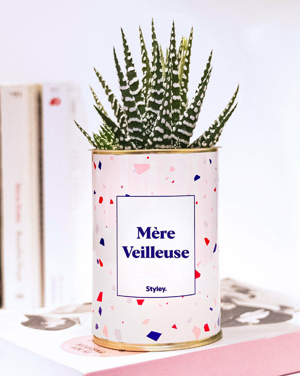Plante personnalisée - mère veilleuse - cactus