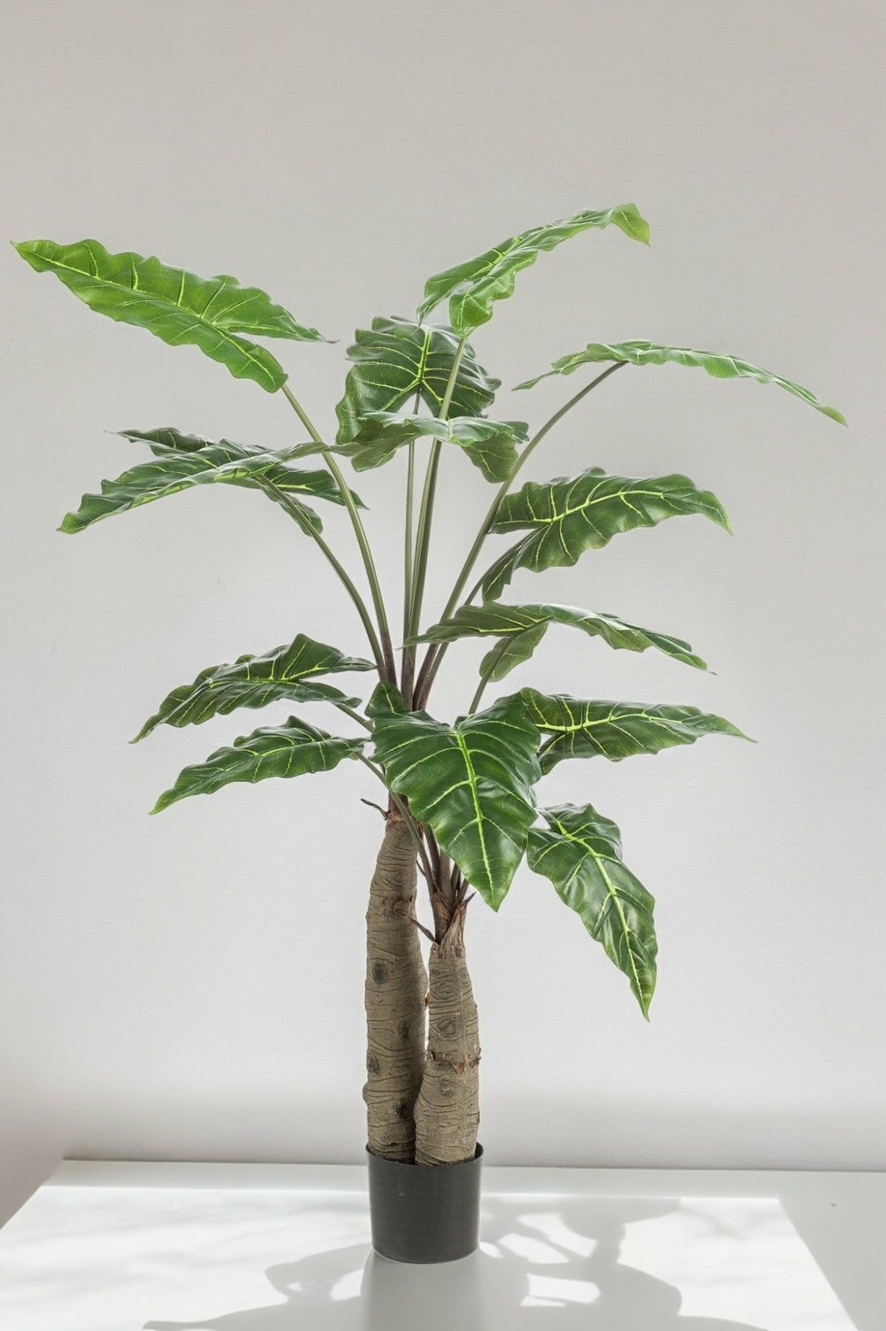 Alocasia plante artificielle - h150cm, ø12cm