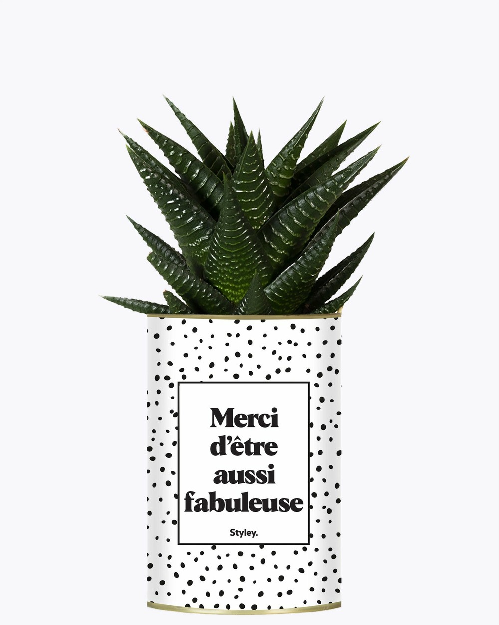 Plante personnalisée - merci d'être aussi fabuleuse - cactus