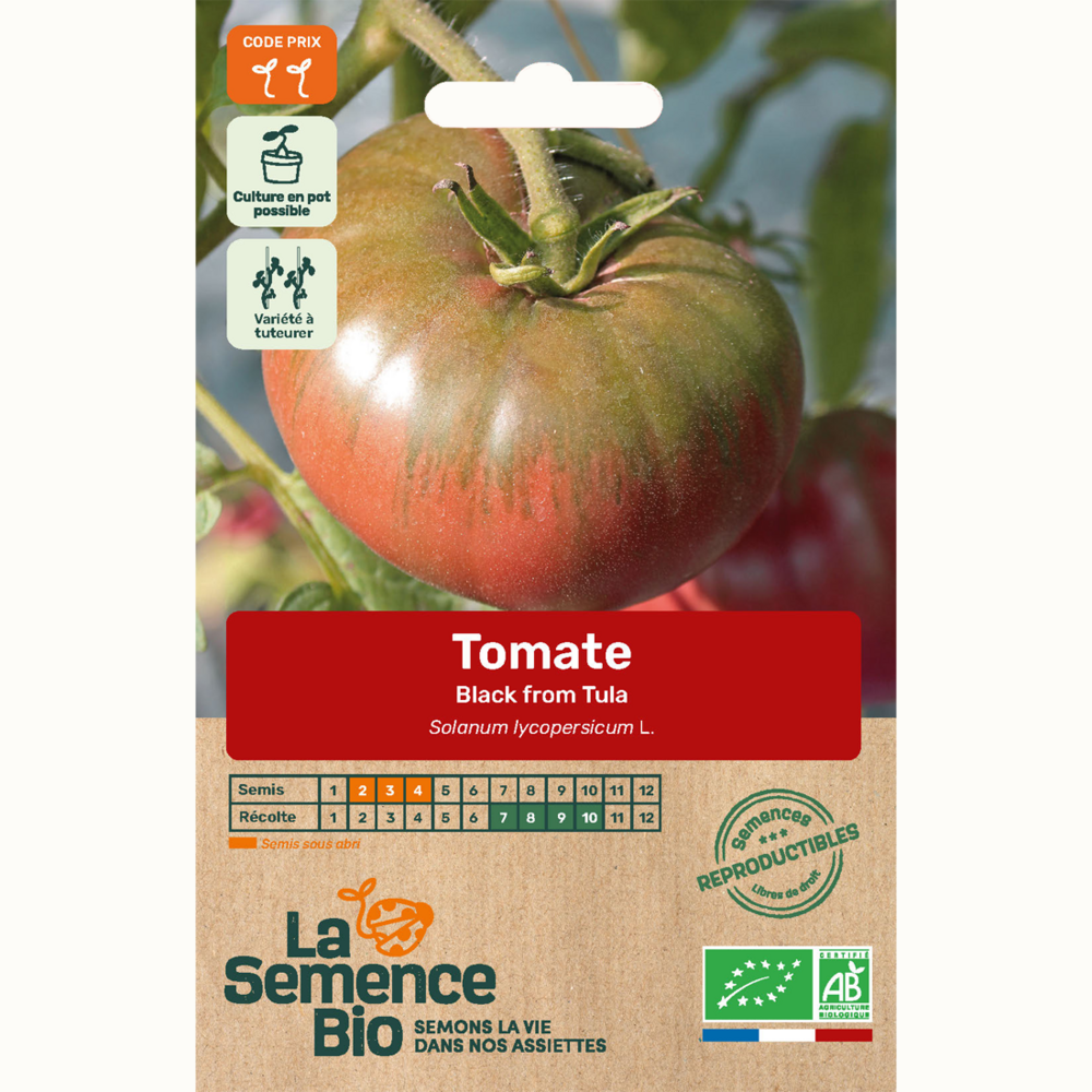 Tomate black from tula - graines bio