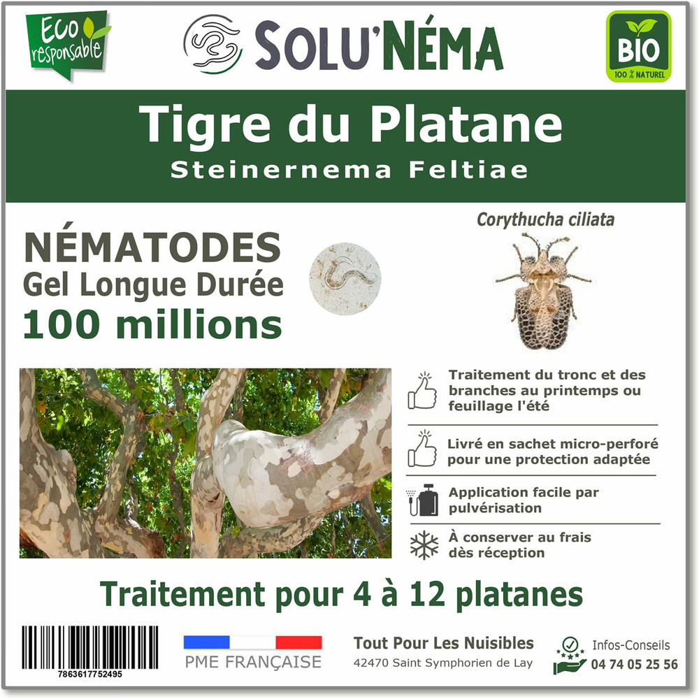 Solunéma - Nématodes contre le Tigre du Platane - Steinernema Feltiae (SF) - 100 millions