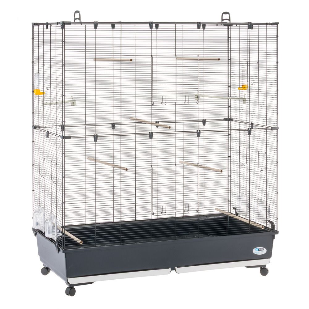 Ferplast volière cage à oiseaux planeta large grande cage pour canaris, pinsons, perruches ondulées, inséparables, métal,