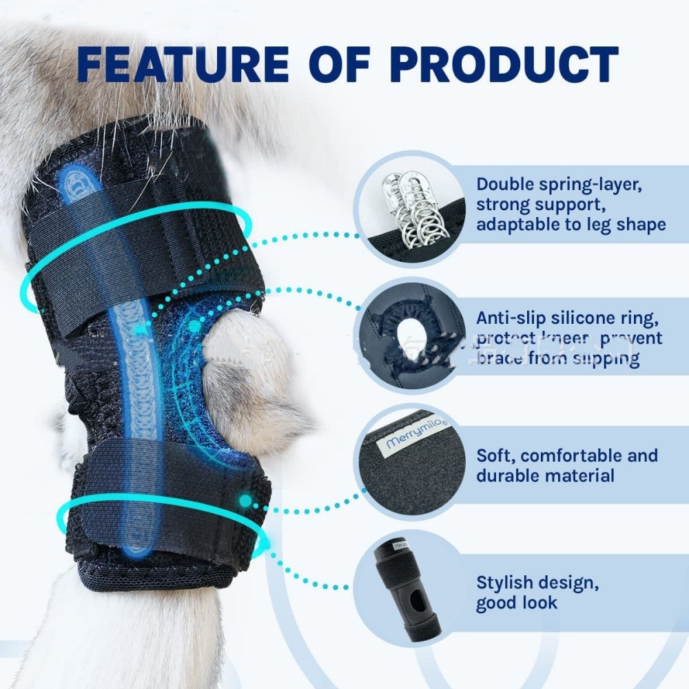 Gaine de protection pour pattes de chien après opération, support pour genoux taille l