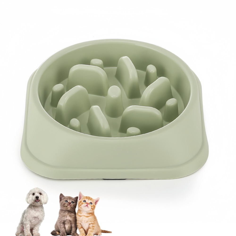 Bol anti - glissement pour animaux de compagnie vert