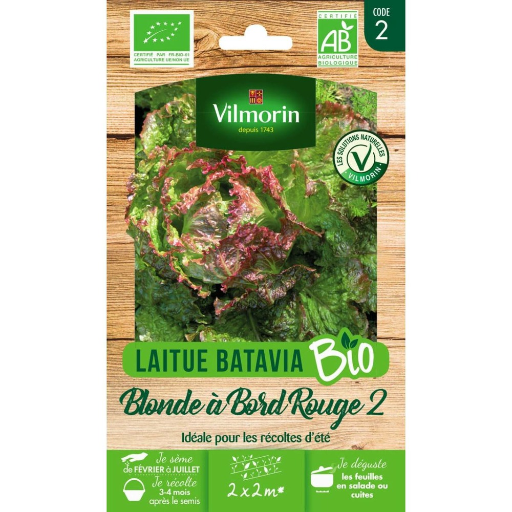 Sachet graines laitue blonde à bord rouge 2 bio - lactuca sativa