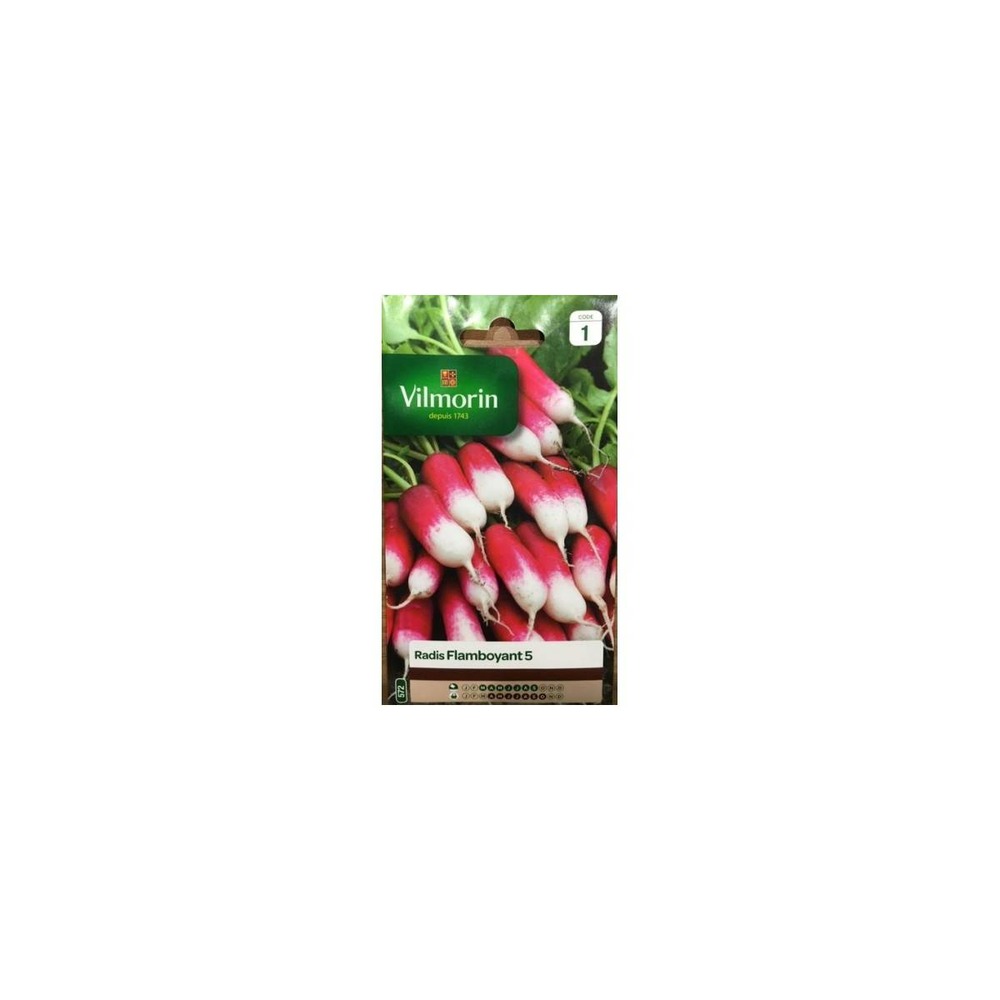 Sachet graines radis flamboyant 5