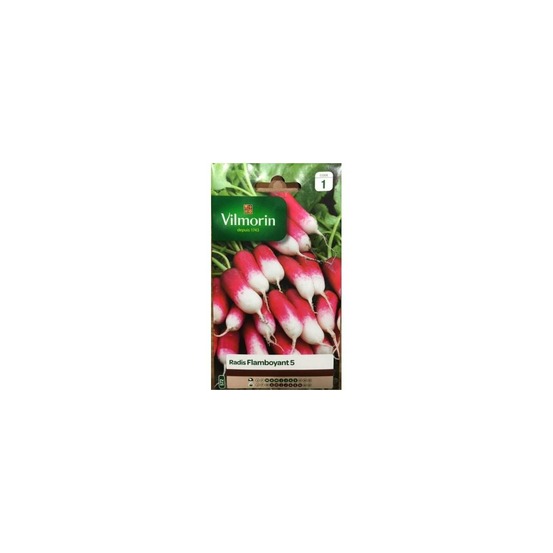 Sachet graines radis flamboyant 5