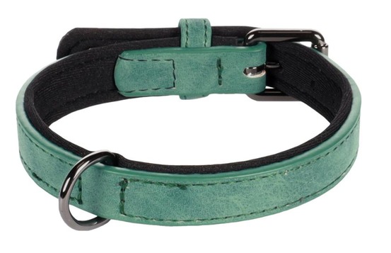 Collier pour chien avec doublure néoprène