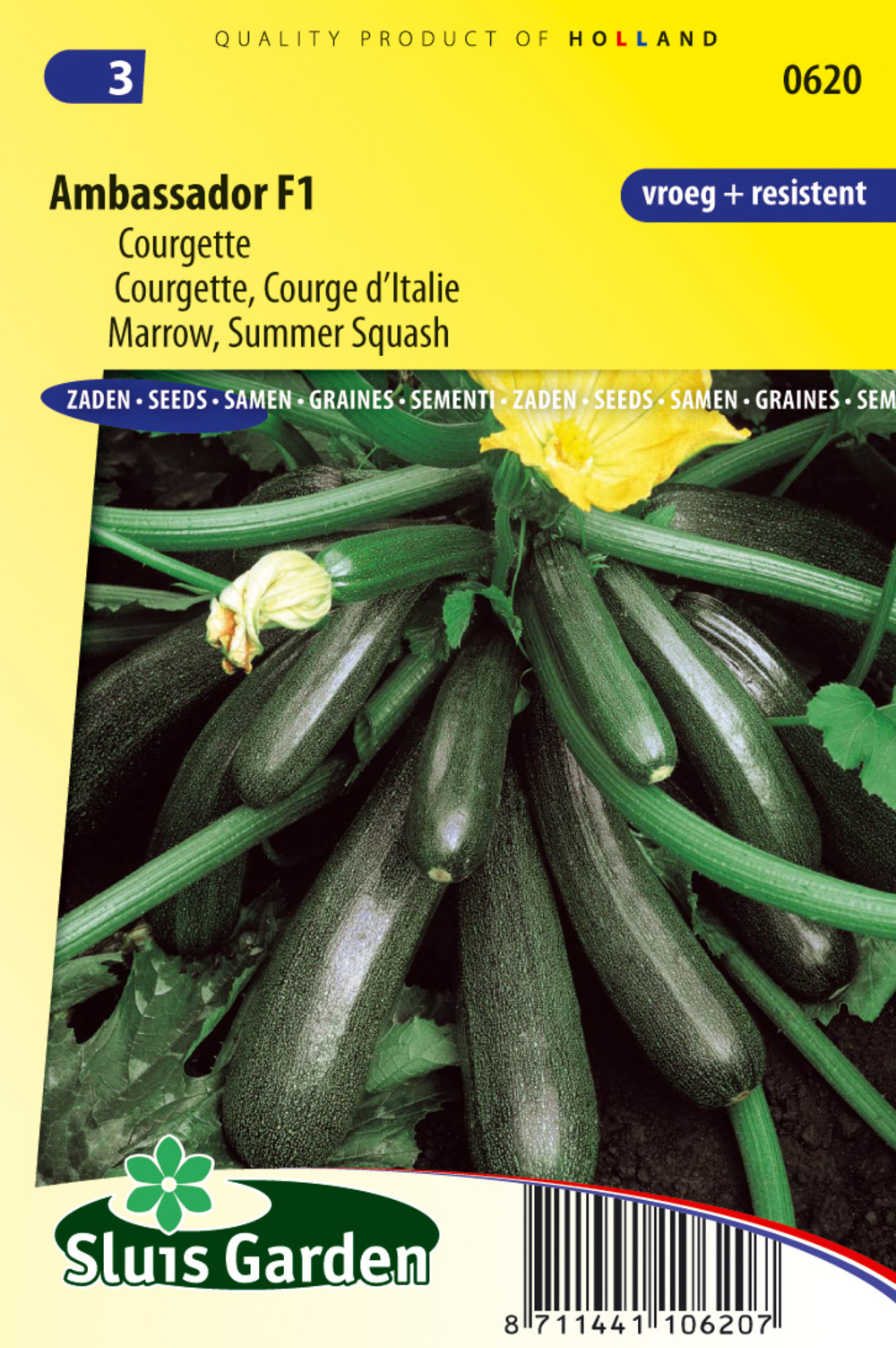 Courgette ambassador f1 - légumes ou plantes à fruit - ca. 10 graines