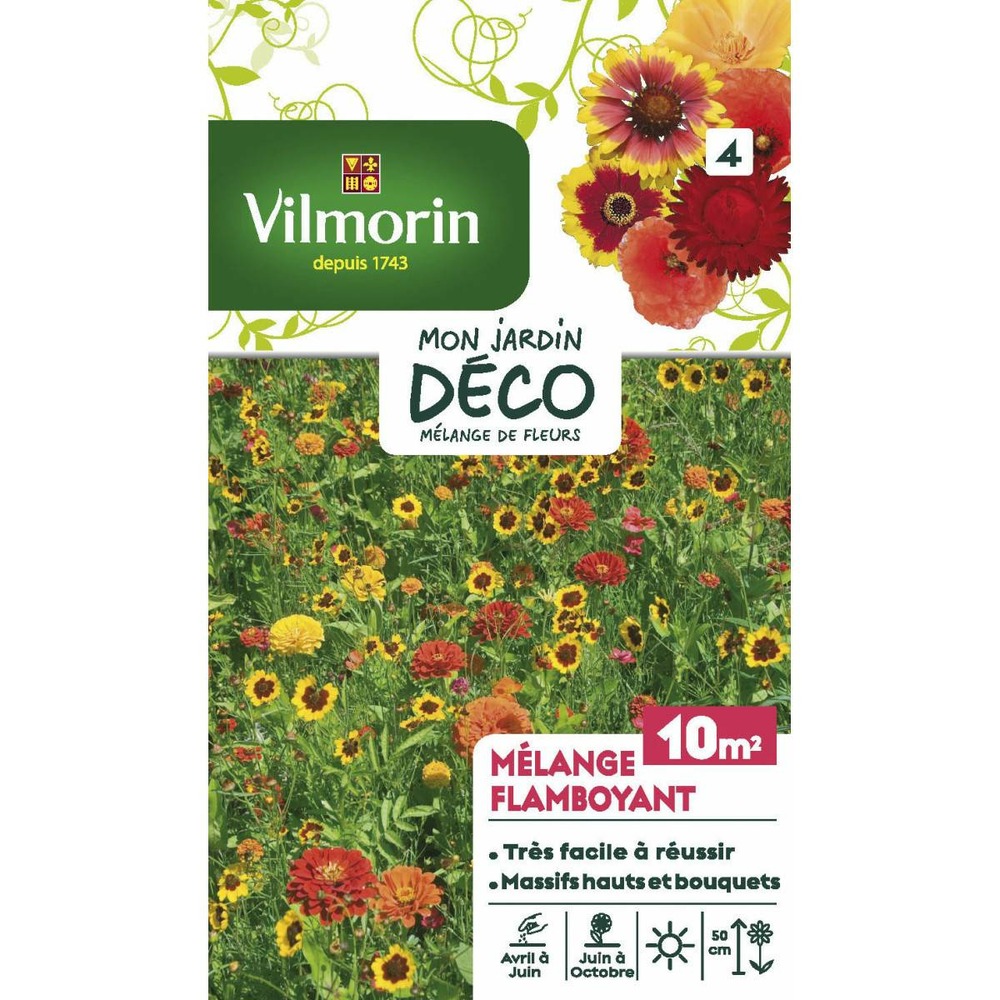 Sachet graines mélange de fleurs flamboyant