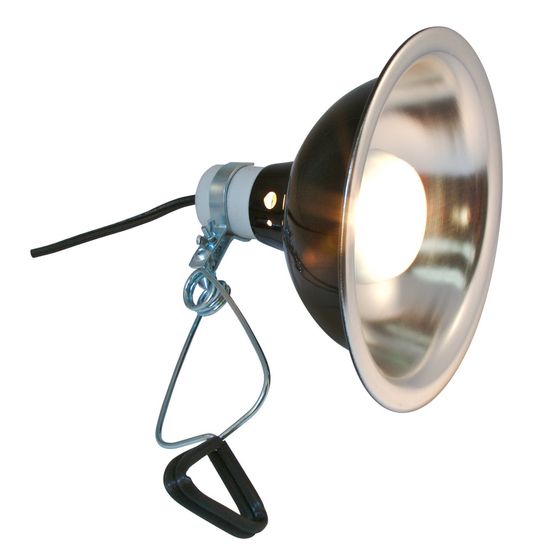 Support de lampe zoomed deluxe porcelaine clamp lampe 22 cm pour terrarium
