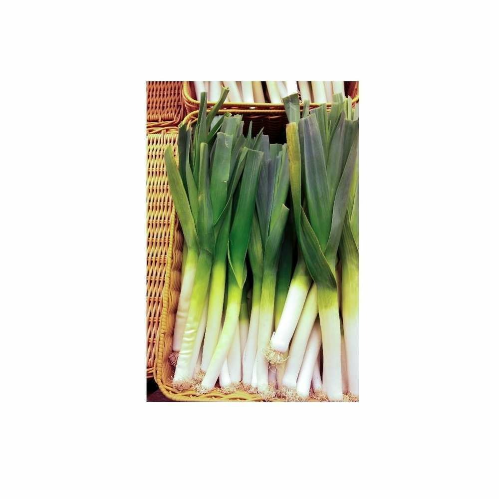 Poireau Bleu de solaise certifiÃ© ECOCERT FR-B