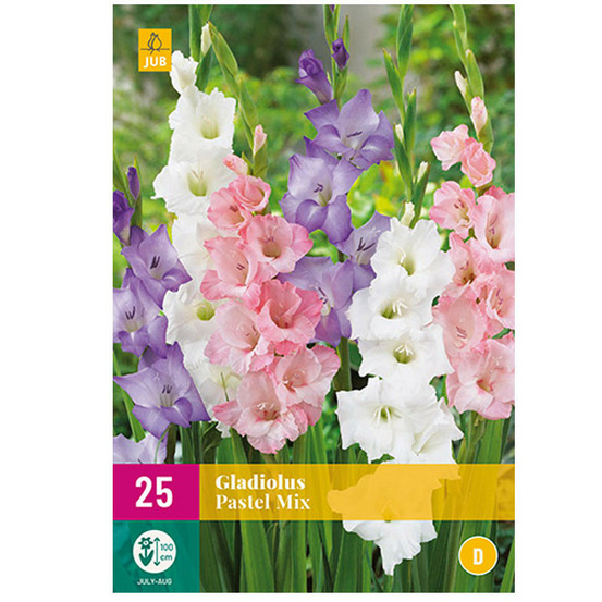 Melange de 25 glaïeuls pastel rose