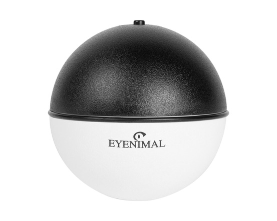 Balle roulante automatique rolling ball • jouet chiens chats