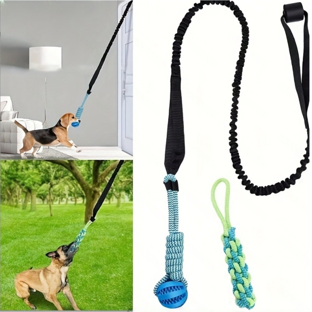 Kit de jouets pour chien