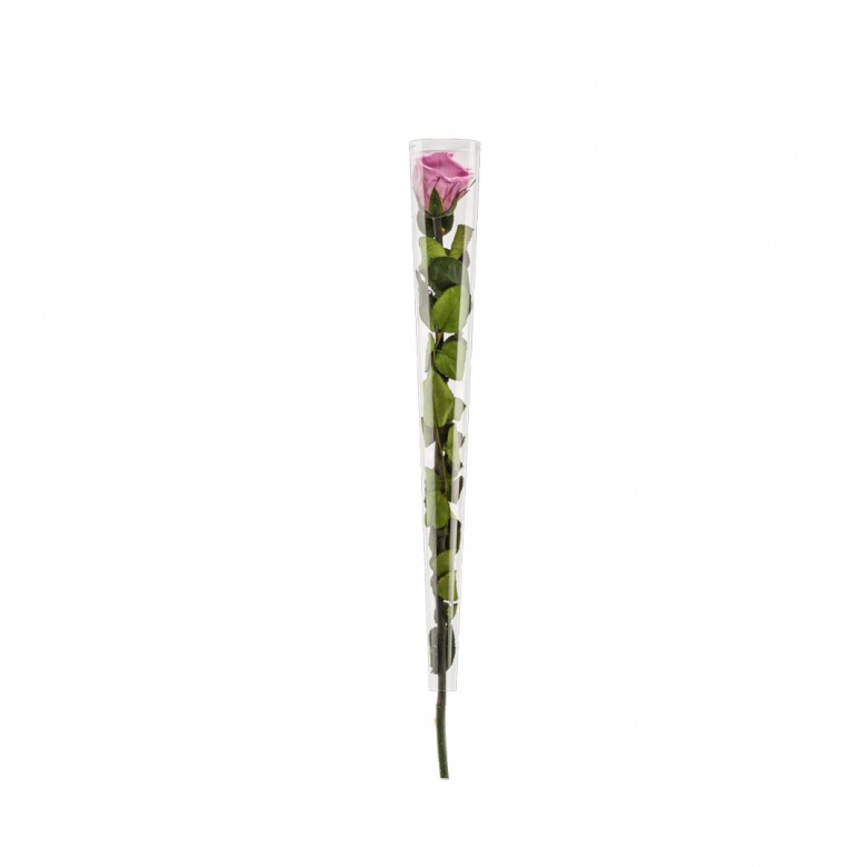 Rose en tige stabilisée coloris lilas