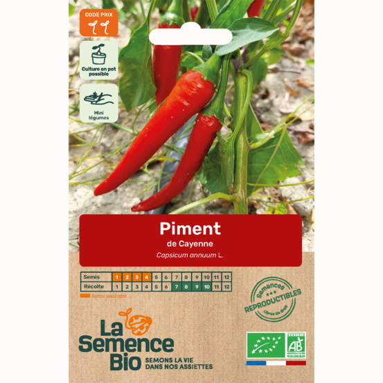 Piment de cayenne - graines bio