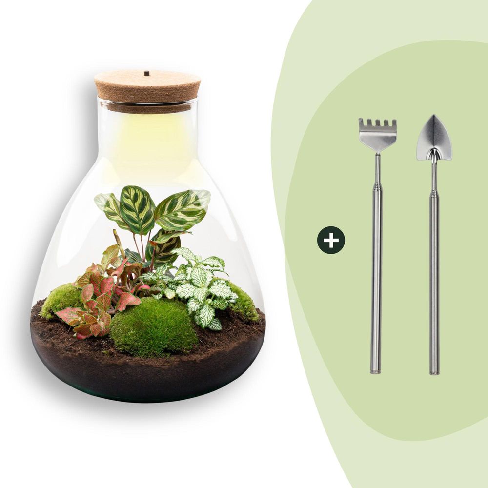 Terrarium à composer bouteille en verre recyclé - ø24-h30cm - avec râteau et pelle - bouchon led - terrarium diy