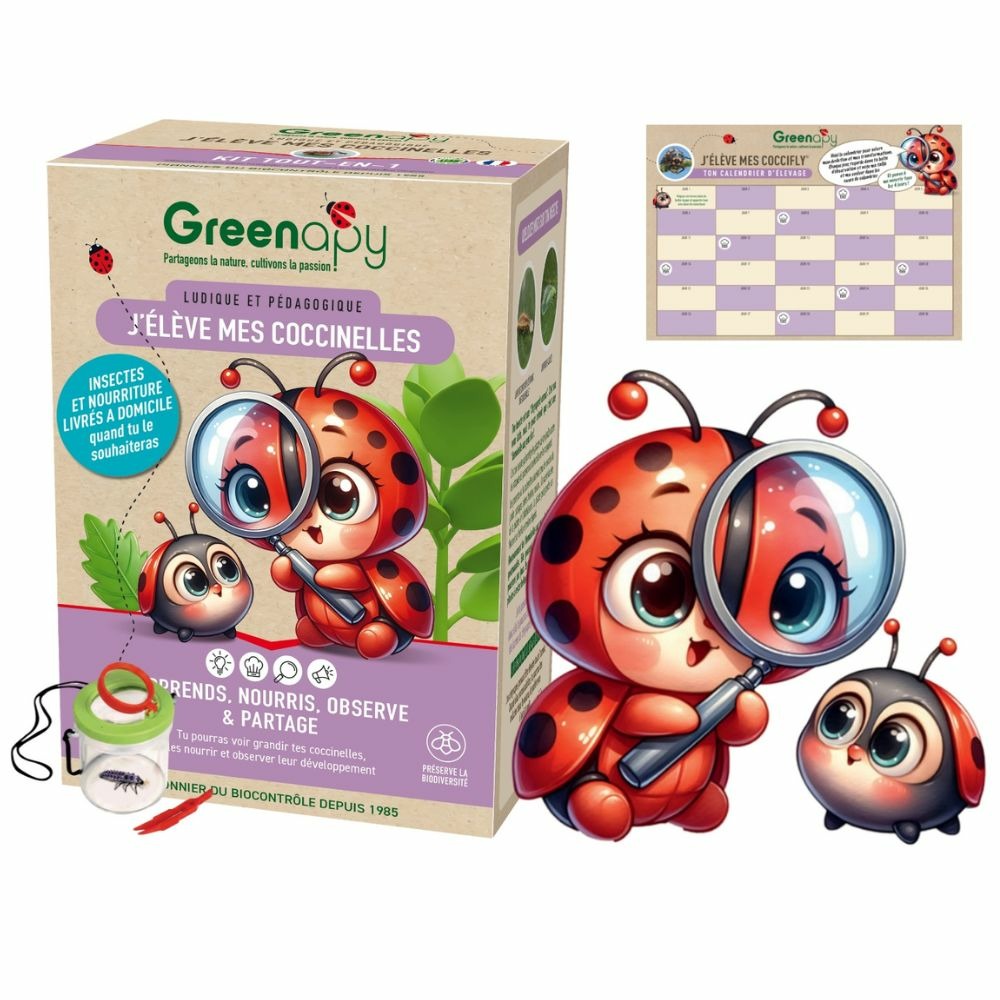 Kit d'élevage de coccinelles - bon pour larves