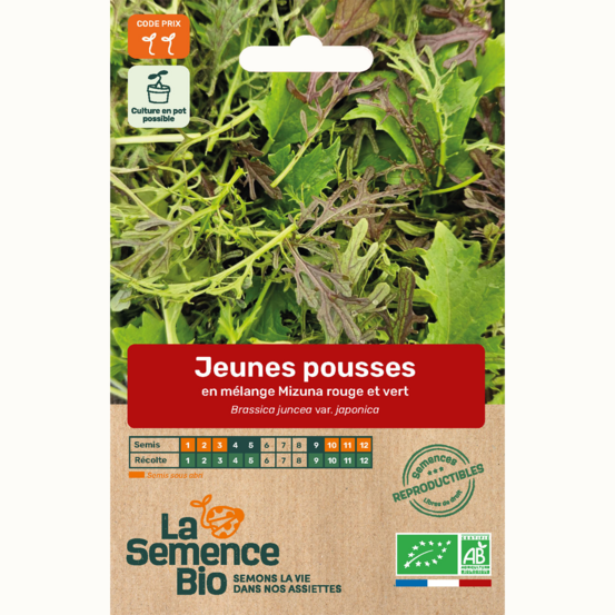 Jeunes pousses en mélange mizuna - graines bio