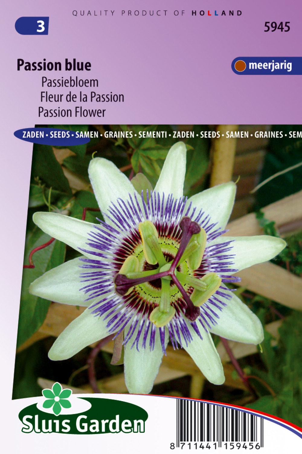 Fleur de la passion, passion bleu - graines de fleurs vivaces - ca. 0,4 g