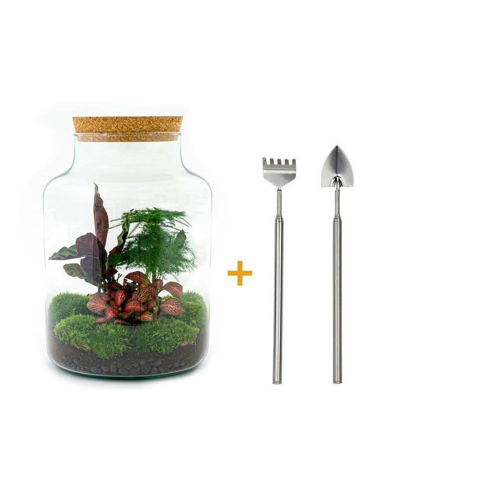 Diy terrarium - h30 cm - ø30 cm