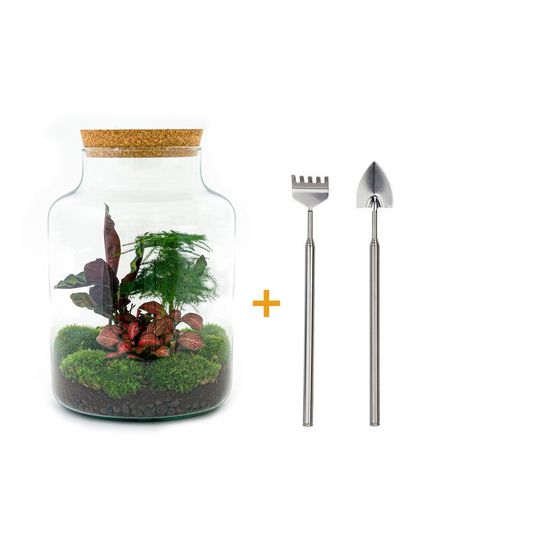 Diy terrarium - h30 cm - ø30 cm